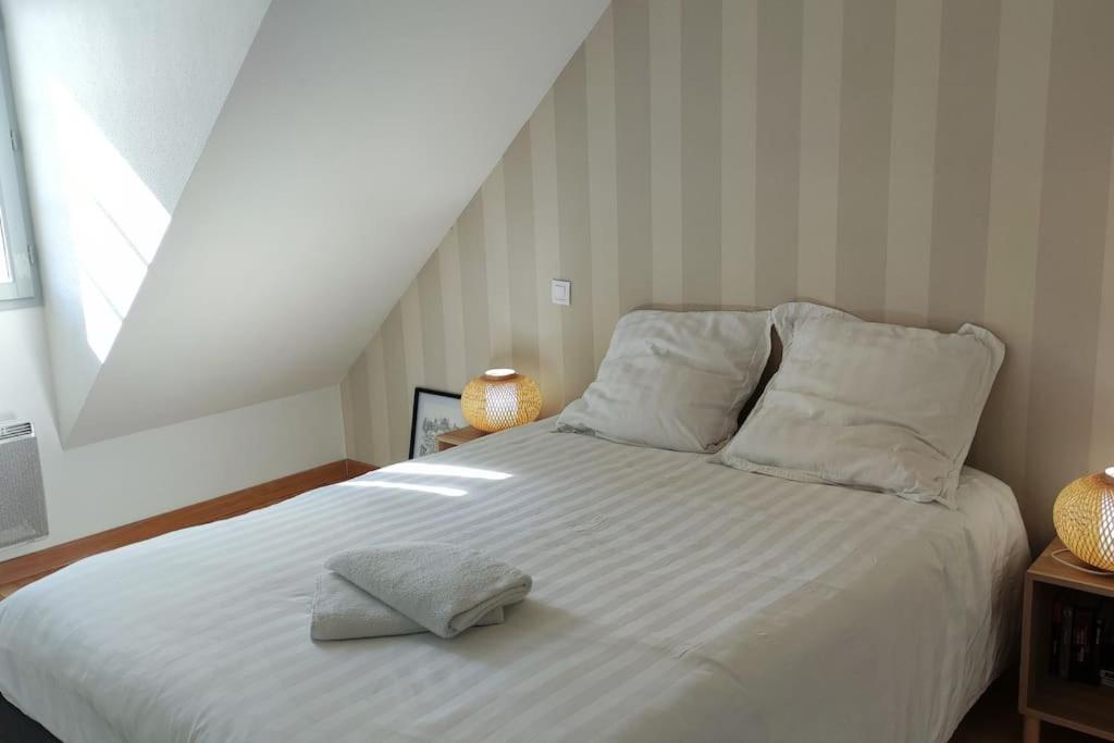 Superbe Duplex « le Grevy » * Dole
