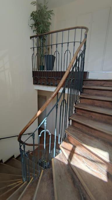 Appartement Superbe Duplex « le Grevy »