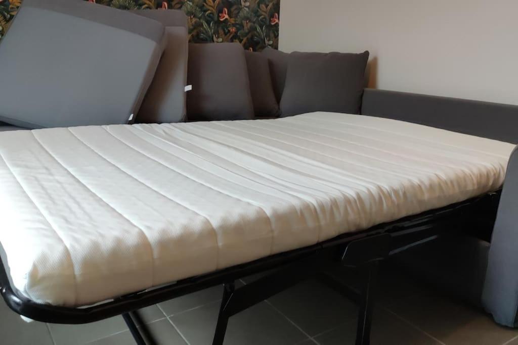 Superbe Duplex « le Grevy » Appartement Dole