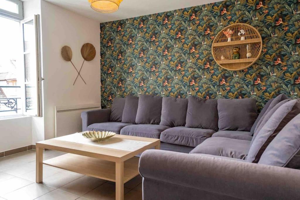 Appartement Superbe Duplex « le Grevy » *